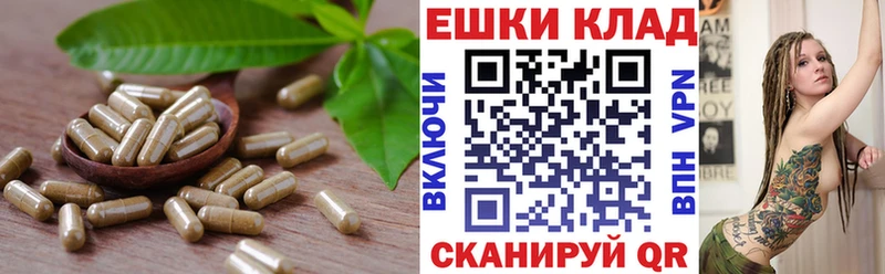 Купить  Черноголовка  Ecstasy XTC