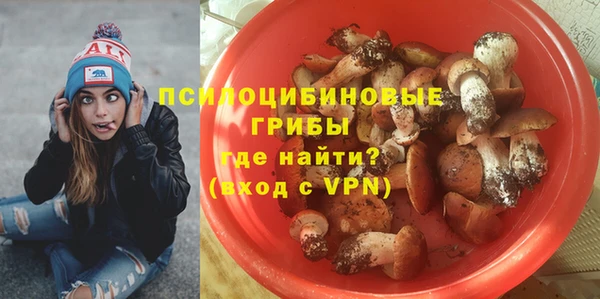 эйфоретик Медвежьегорск