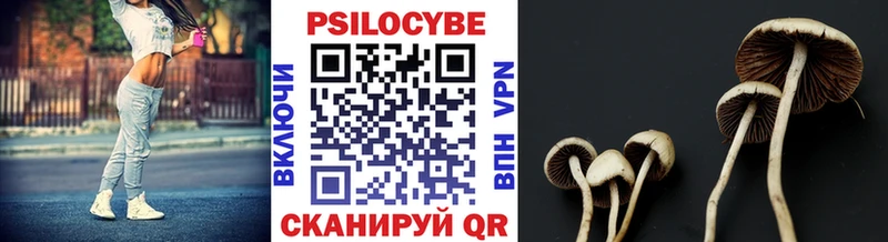 Галлюциногенные грибы MAGIC MUSHROOMS  Купить где  Черноголовка 